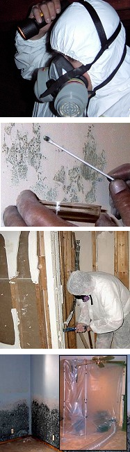 Mold Training & Certification Mold Training & Certification